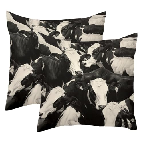 Fundas de almohada decorativas modernas para renovar el sofá del salón 2