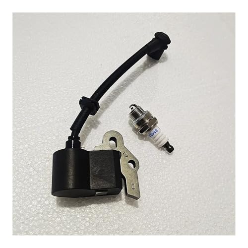 Bobine d'allumage avec bougie 219848-01 pour entretenir votre jardin facilement