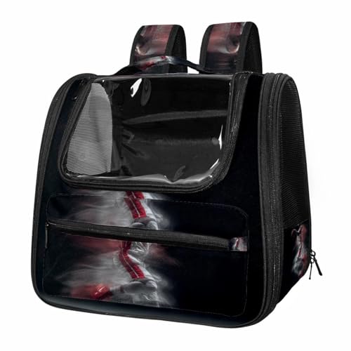 otnrnondcl Sports Men Basketball (2) Pet Carrier, Soft Sided Carrier for Small Dog Cat with Windows and Locking Safety Zippers