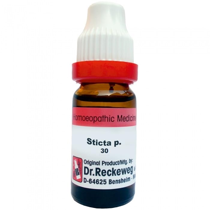 STICTA PULMONARIA 30 11ML Dr. Reckeweg (B0D8Y5P4YR) Amazon Price History, Amazon Price Tracker