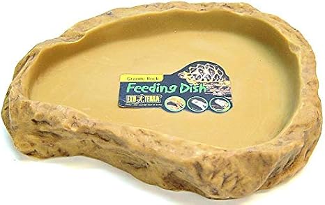 discus fish tank setup