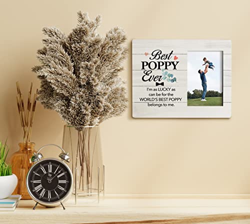 Haluosi XK206 To Poppy Gifts Picture Frame thumb #3