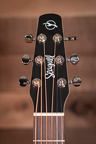 Seagull 6 String Acoustic Guitar, Right, Natural, Full (052011) #TOP6