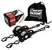 TENSYS Auto Retract Ratchet Straps Heavy Duty - 600kg Max Break Capacity, 2-Pack with Ergonomic Cushioned Grips, Carbon Steel Fastener, 2.5cm x 3m Tie-Downs, Compact Design for Cars & Trailers