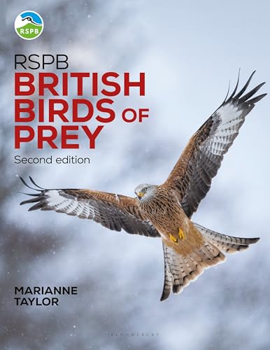 RSPB British Birds of Prey