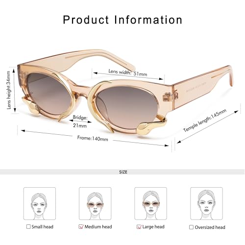 Trendy Sunglasses for Women Men Vintage Narrow Cateye Metal Snake Sunnie Y2k Accessories AP3621