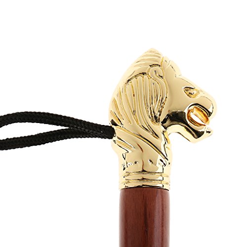 gazechimp Chifre De Sapato Longo Lidar Com Calçadeira De Metal Durável E Leve Sapatos Chifre 32 Cm