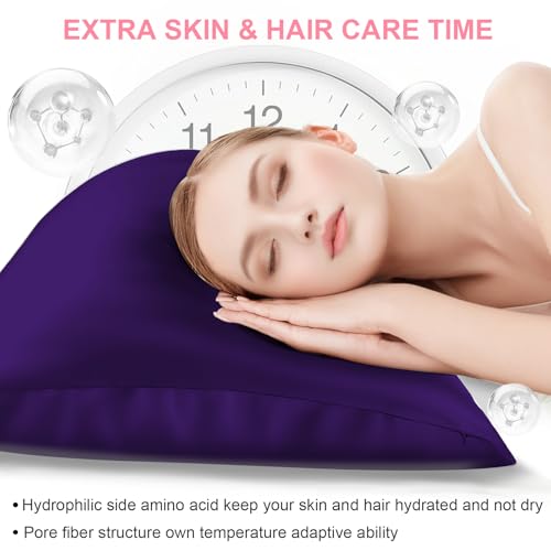 Mulberry Silk Pillow Cases 2 Pack Standard Size 20x26 Inches with Hidden Zipper, Ultra Smooth and Soft Breathable Cooling Silk Satin Pillowcase Set of 2, Better for Hair and Skin, Gifts for Women Men