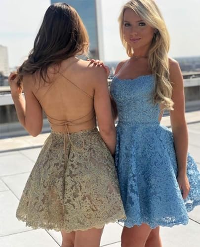 Tulle Prom Dresses Spaghetti Strap Lace Applique Short Evening Dresses4