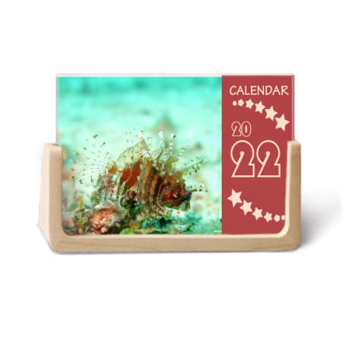 Agenda de bureau 2022 Lionfish Ocean Sea pour embellir votre espace de télétravail