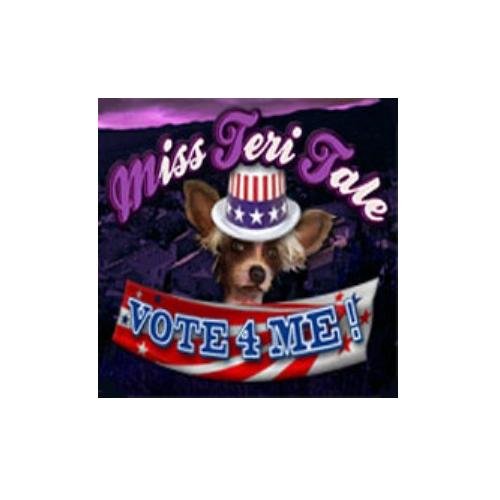 Casual Fever - Miss Teri Tale 2 : Vote 4 Me - French only - Standard Edition [video game]