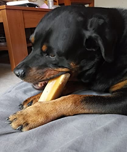 ARTISAN GIFT CO Osso da Masticare di Formaggio