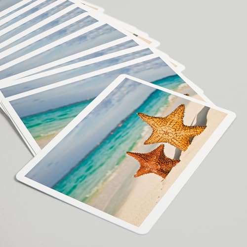 Lantern Press Starfish on Beach Naipes Póker 52 cartas miniatura 5