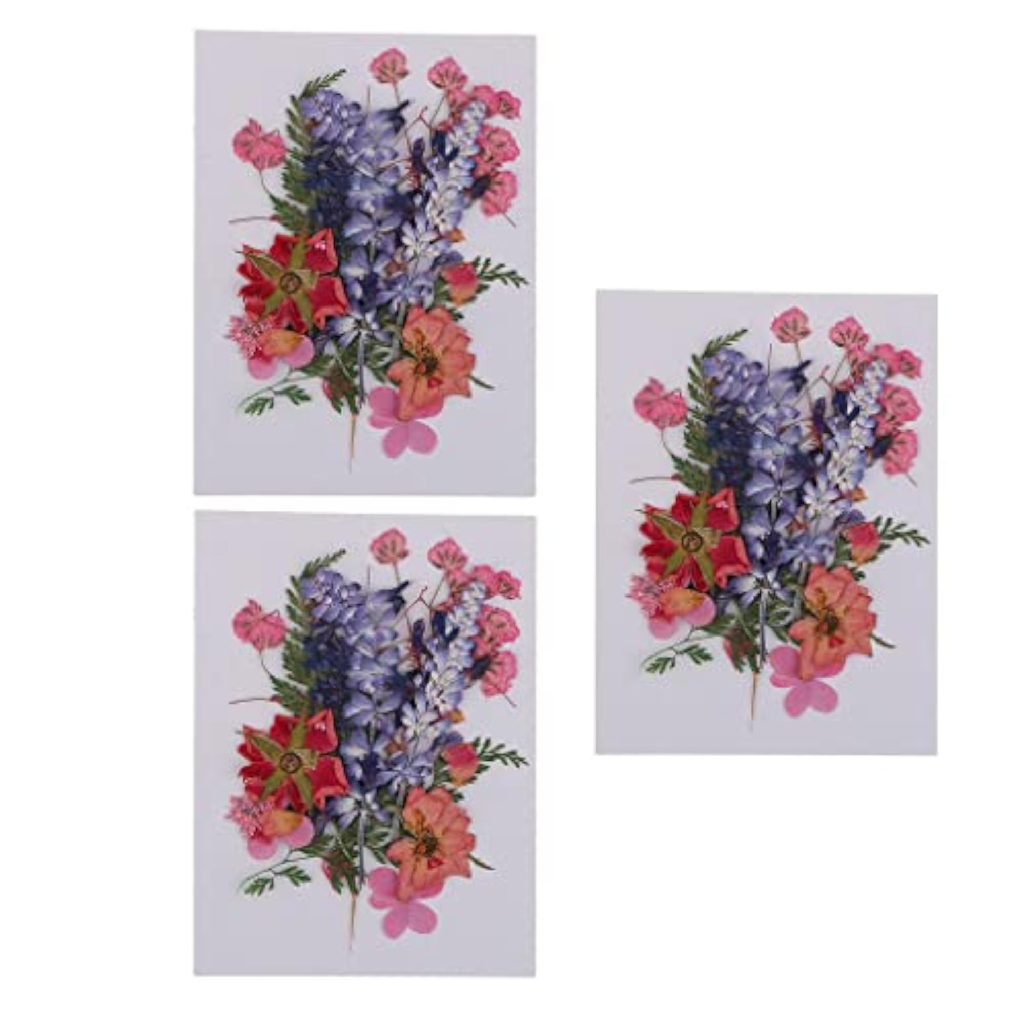 3 Multiple Dried Flowers for DIY Arts Crafts