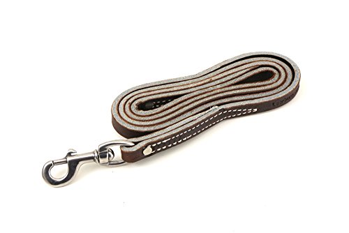 Leerburg 4' X 1/2" Wide Amish Brown Leather Leash w/Stainless Steel Hardware