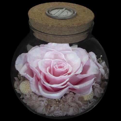 roliys Preserved Real Roses with Colorful Mood Light Wishing Bottle, Eternal Rose，Never Withered Flowers, for Bedroom Party Table Decor, Christmas Decorations, a Gifts for Women 1pcs Pink