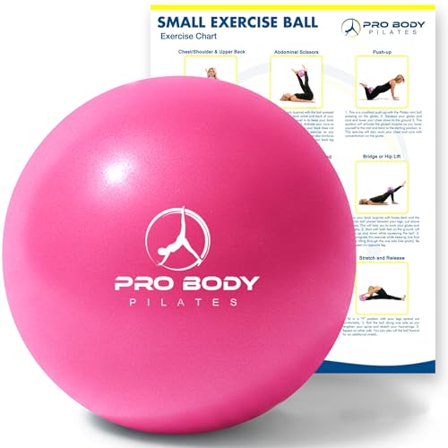 ProBody Pilates Ball, Kleiner Gymnastikball, 9-Zoll-Barre-Ball, Trainingsball für Stabilität, Barre, Bauch, Rumpf, Physio- und Physiotherapieball für das Fitnessstudio (Pink)