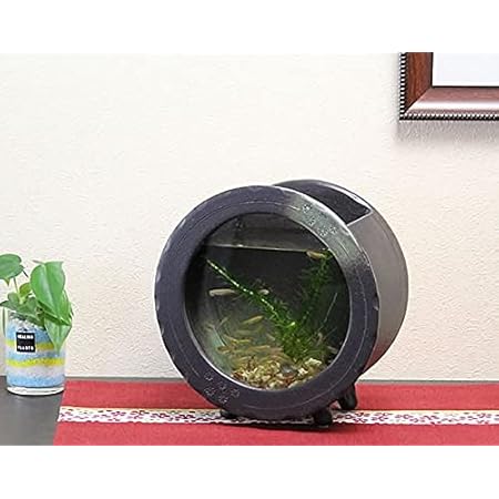 送料無料キャンペーン 信楽焼 541 04 金魚鉢 アクアリウム 陶器 和風 F 黒釉丸水槽 大 陶水槽 水槽 鉢 池