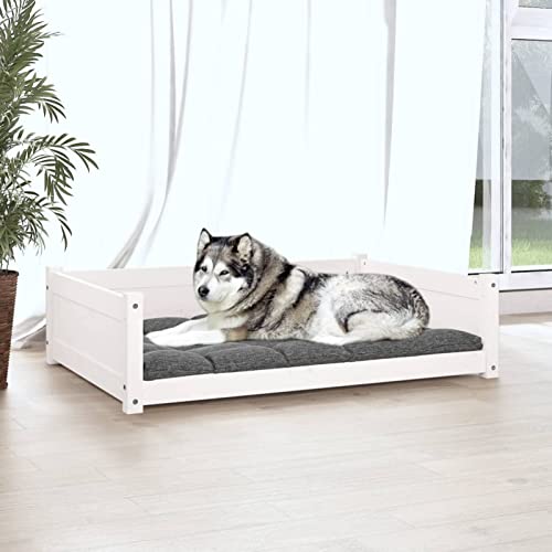 GuyAna Hundebett, weiß, 105, 5 x 75, 5 x 28 cm, massives Kiefernholz, erhöhtes Hundebett, tragbares Sofa für kleine, mittelgroße Hunde-3