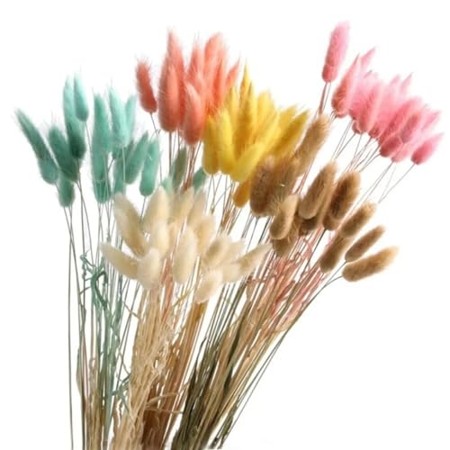 Herbe queue de lapin bleue bouquet de mariage champêtre 45cm