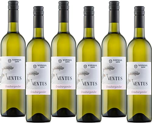 VENTUS Grauburgunder (Pinot Gris), von Hand gelesener trockener Weißwein (6 x 0,75 l)