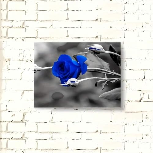Toile rose bleue XINBAO 60x80 cm pour habiller un mur vide