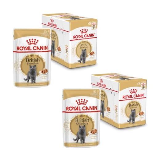 Royal Canin British Shorthair Doppelpack