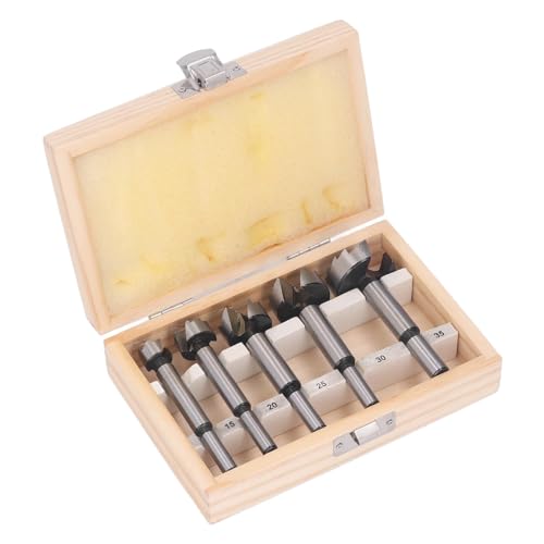 Rankomu Forstner - Juego de 5 brocas Forstner de 5 piezas, brocas profesionales multidientes planas para carpintería, ideal para perforar sierras perforadoras, 15 mm a 35 mm de diámetro