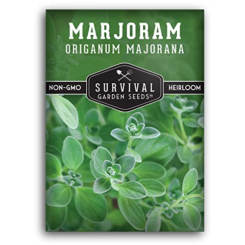 Marjoram Seeds for Planting – Sweet Marjoram Herb for Cooking & Aromatic Gardens – Non-GMO Heirloom Seed Variety for Indoor or Outdoor Growing – Survival Garden Seeds (1 Pack)