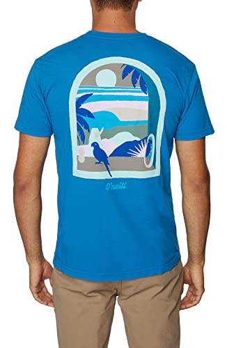 O'NEILL Mens Arches Graphic Short Sleeve T-Shirt, Pacific3