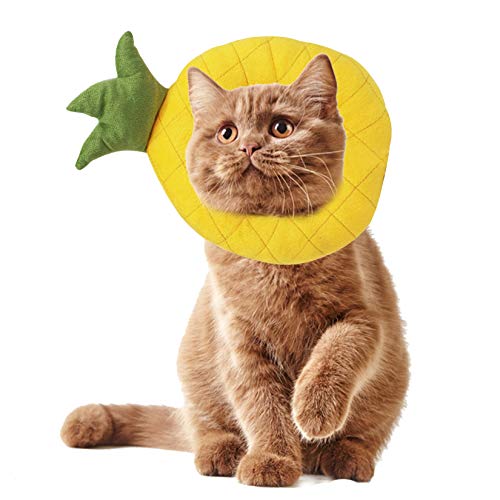 エリザベスカラー ソフト 犬 犬用健康管理用品の人気商品 通販 価格比較 価格 Com