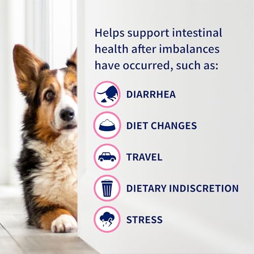 Best support kit comparison product option for cat digestive support