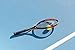 HEAD IG Challenge Team Tennis Racquet, Pre-Strung, 100 sq in Head, Lightweight Power & Spin