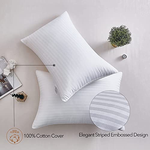 Adam Home Pillows 2 Pack Hotel Quality Side Sleeper Bounce Back Bed Pillow Quick Rebound & Dust Proof Resistant Premium Filled Hotel Pillows Pack of 2