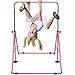 RELIANCER Expandable Gymnastics Bars Junior Training Bar Adjustable Height Gymnastic Horizontal Bars Children Folding Training Monkey Bars Child Gym Climbing Tower Kip Balance Bar for Kids Gymnasts