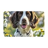 springer spaniel inglese colori Ampio utilizzo: lo zerbino dal design classico è versatile e adatto sia per uso interno che esterno. Sono una buona scelta per mantenere la casa pulita posizionandoli sulla porta, sulla terrazza, sul terreno, ecc. Sono la scelta perfetta per decorazioni e gesti premurosi per famiglie e amici.