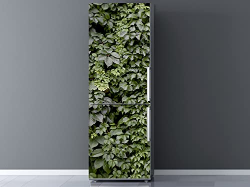 Autocollants 3D en vinyle pour réfrigérateur Feuilles de lierre vert | Plusieurs dimensions 185 x 60 cm | Adhésif résistant et facile à appliquer |...