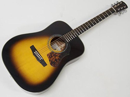 Amazon.co.jp: Morris M-80(TS)【日本製 限定モデル アコースティック