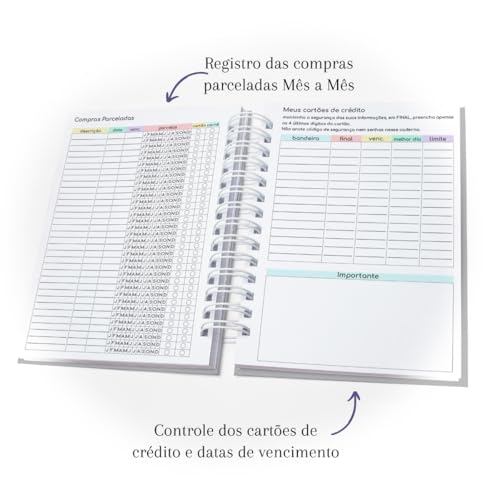 Planejador Financeiro - Minhas Contas Organizadas Capa Dura Pastel