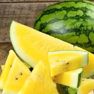 60 graines de pastèque jaune