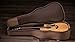 Taylor 314ce Studio Special Edition Acoustic-electric Guitar - Natural