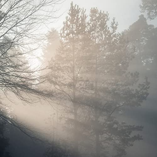 カントリーロードinここのえまち #2 長年の思いが叶うとき