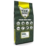 Yourdog Pont Audemer SpaniËl Senior-12 KG