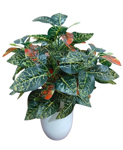 Image of Artificial Money Plant /Tree with Pot, Green-Red | Natural Looking, Ornamental Plant, Interior Decor, Home /Shop /Office Decor