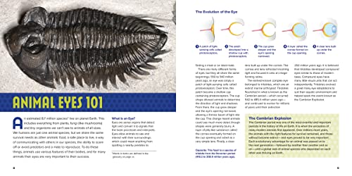 Animal Eyes: How Creatures See and How Their Eyes Have Adapted to Their World - Image 2