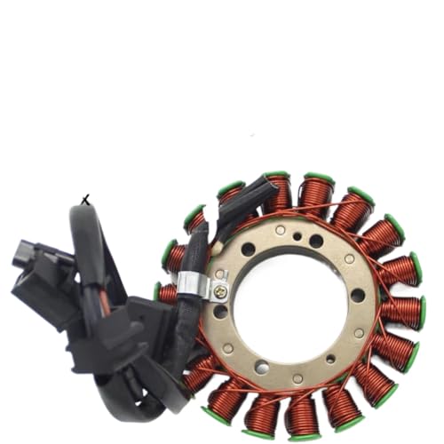 Stator pour Wildcat 1000 GT LTD idéal pour la randonnée