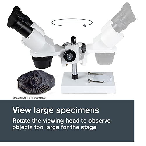 Image of Celestron - Stereo Microscope - Celestron Labs S1030N - Ergonomic Binocular Head - 10x and 30x Magnification