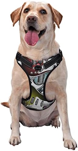 Bass Guitar Rock Music Theme Dog Harness Set Pet Vest Harness for Labrador Golden Retriever Huskie Corgi
