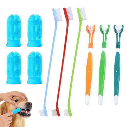 Set di 10 spazzolini da denti per cani, con 3 testine e 3 spazzole a doppia testa, con 4 spazzolini per dita per cani di piccola taglia e grande
