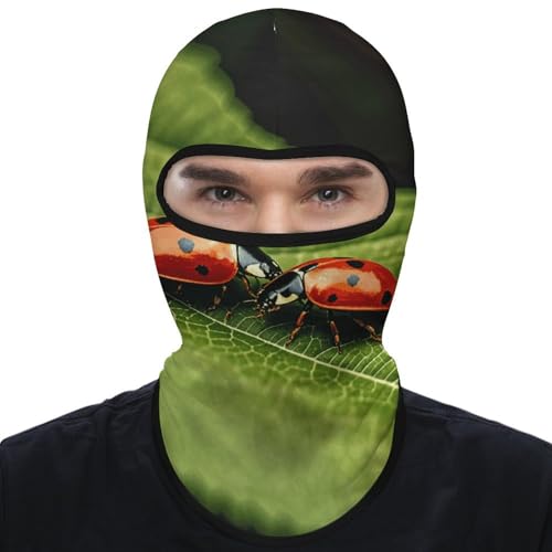 Balaclava para hombres, máscara para esquiar y cazar, cubreboca para ciclismo y actividades invernales miniatura 7
